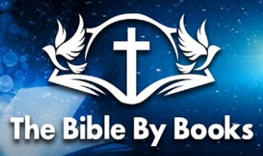 A banner with the words " bible by book ".